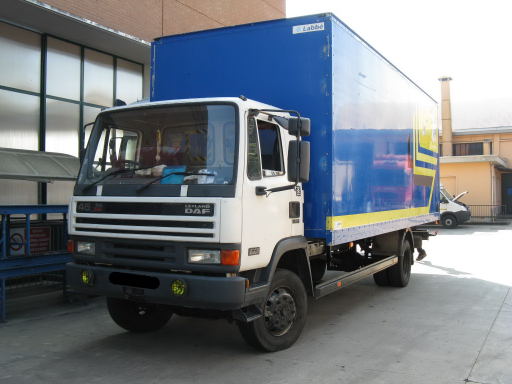 DAF 313